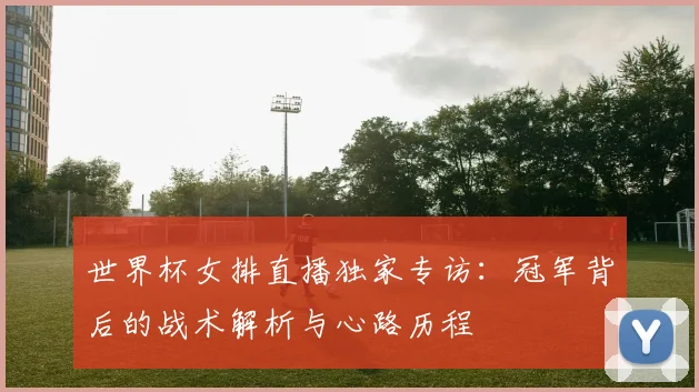 世界杯女排直播独家专访：冠军背后的战术解析与心路历程