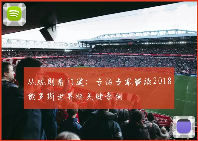 从规则看门道：专访专家解读2018俄罗斯世界杯关键条例