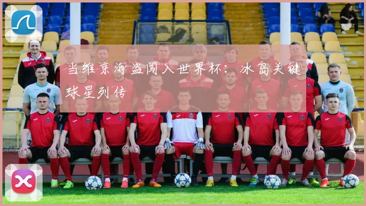 当维京海盗闯入世界杯：冰岛关键球星列传