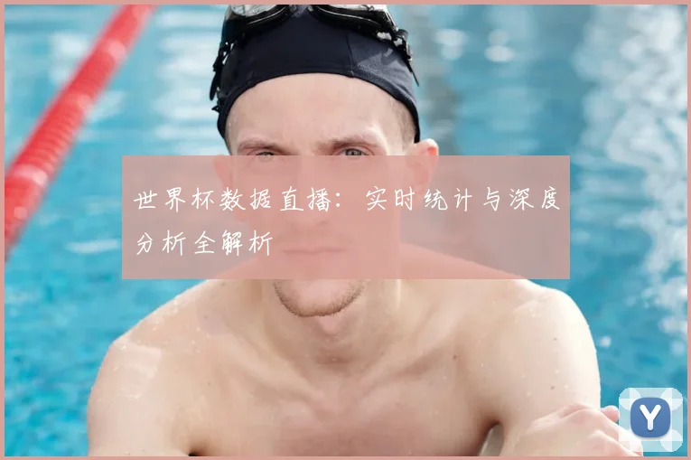 世界杯数据直播：实时统计与深度分析全解析