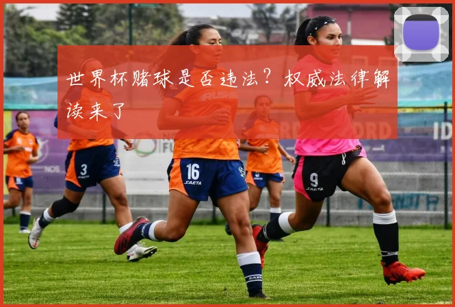世界杯赌球是否违法？权威法律解读来了