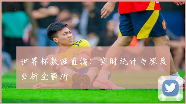 世界杯数据直播：实时统计与深度分析全解析