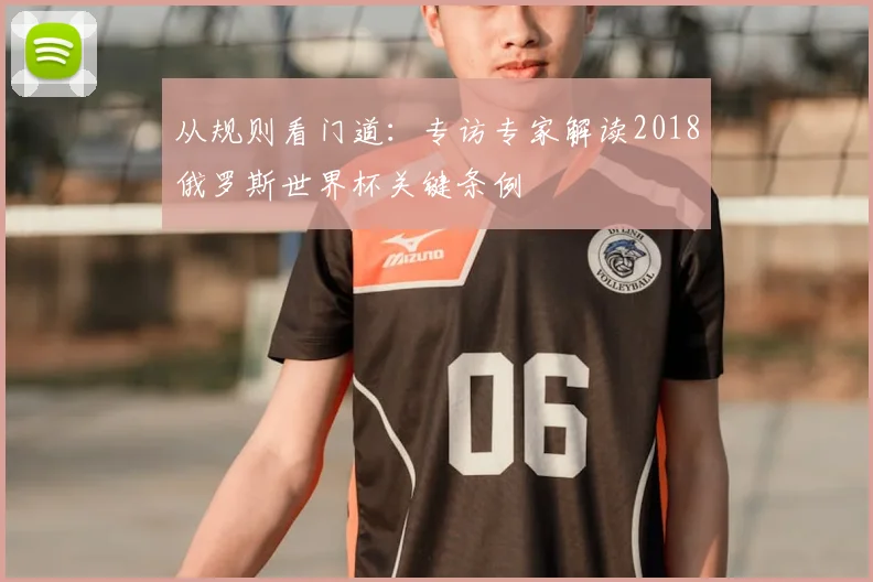 从规则看门道：专访专家解读2018俄罗斯世界杯关键条例