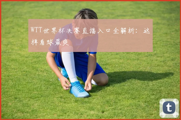 WTT世界杯决赛直播入口全解析：这样看球最爽
